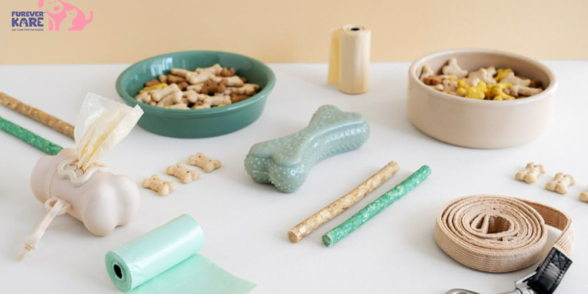 Pet Toys for Dogs That Improve Health, Play, and Bonding