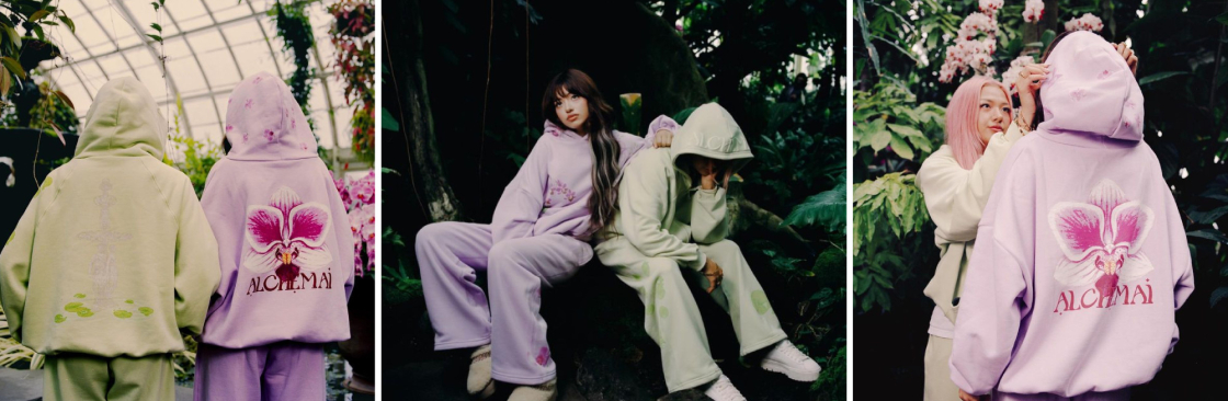 Alchemai Hoodie Cover Image