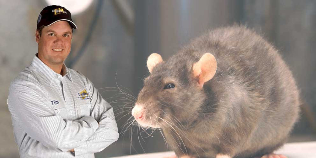 Long-Term Rodent Solutions in Brooklyn: Expert Insights