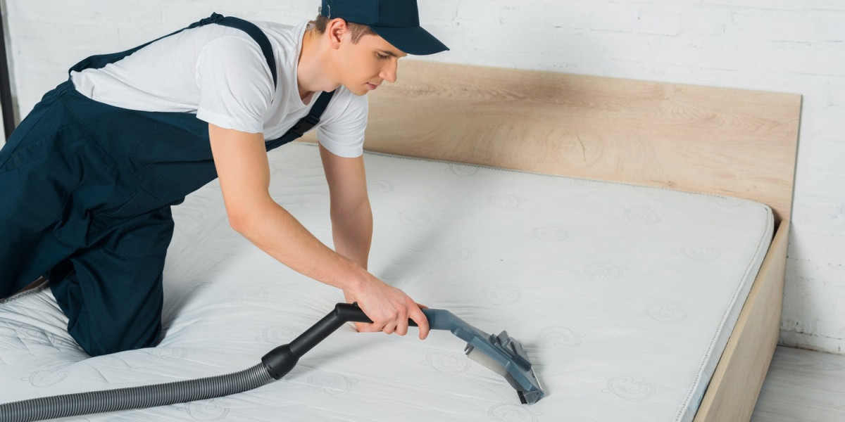 Mattress Steam Cleaner Denver, CO: Your Ultimate Guide to a Cleaner, Healthier Sleep
