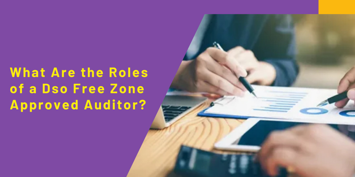 What Are the Roles of a Dso Free Zone Approved Auditor?