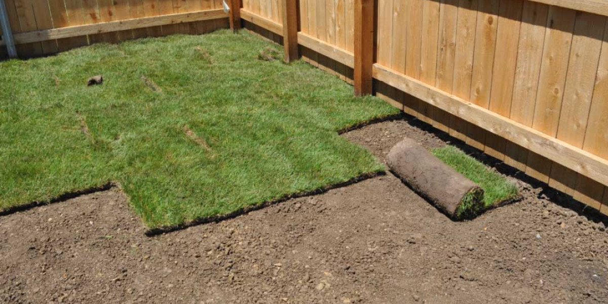 Sod Installation Near Me