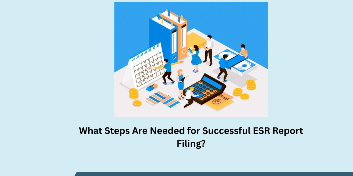 What Steps Are Needed for Successful ESR Report Filing?
