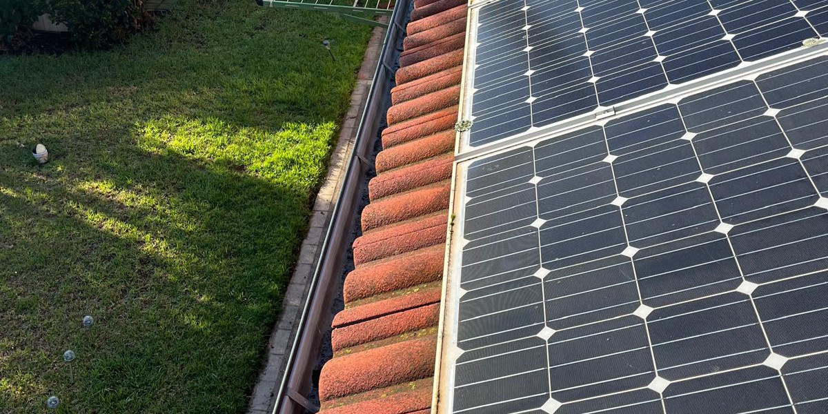 Solar Panels in Belmont: Your Guide to Clean, Affordable Energy