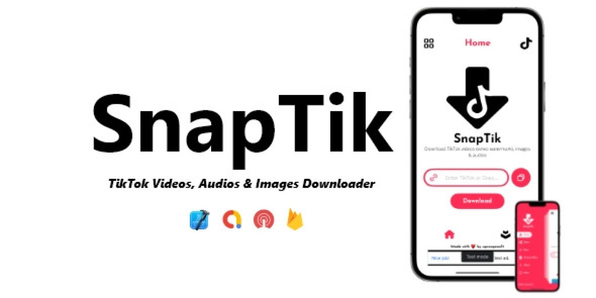 Snaptik -TikTok Video Downloader without Watermark 2025