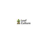 Leaf Culture Profile Picture