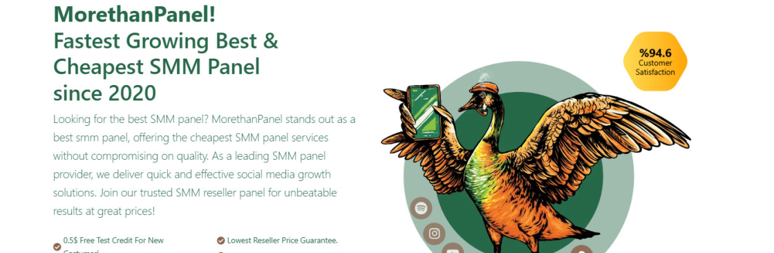 MoreThanPanel Official Cover Image