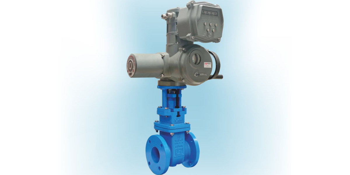 High-Performance Motorized Sluice Valve Manufacturer in India