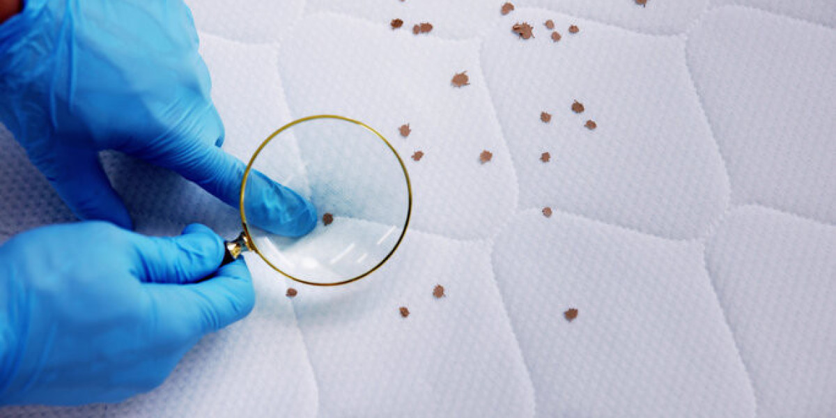 Finding the Right Expert to Eliminate Bed Bugs in Bethpage NY for Good
