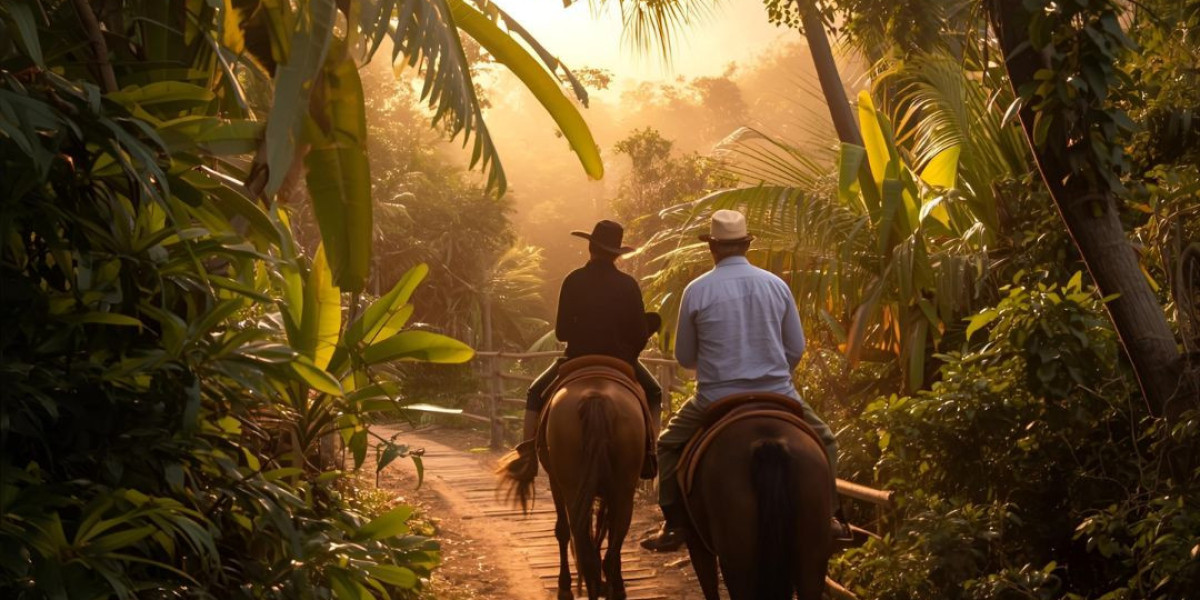 Adventure Awaits: Experience Horseback Riding ATV and Private Catamaran Montego Bay Tours in Jamaica