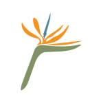 Paradise Point Resort & Spa Profile Picture