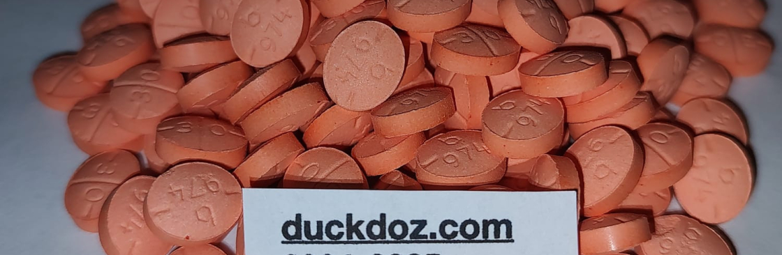 duck doze Cover Image