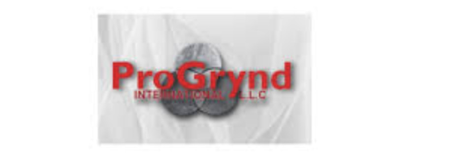 Progrynd LLC Cover Image