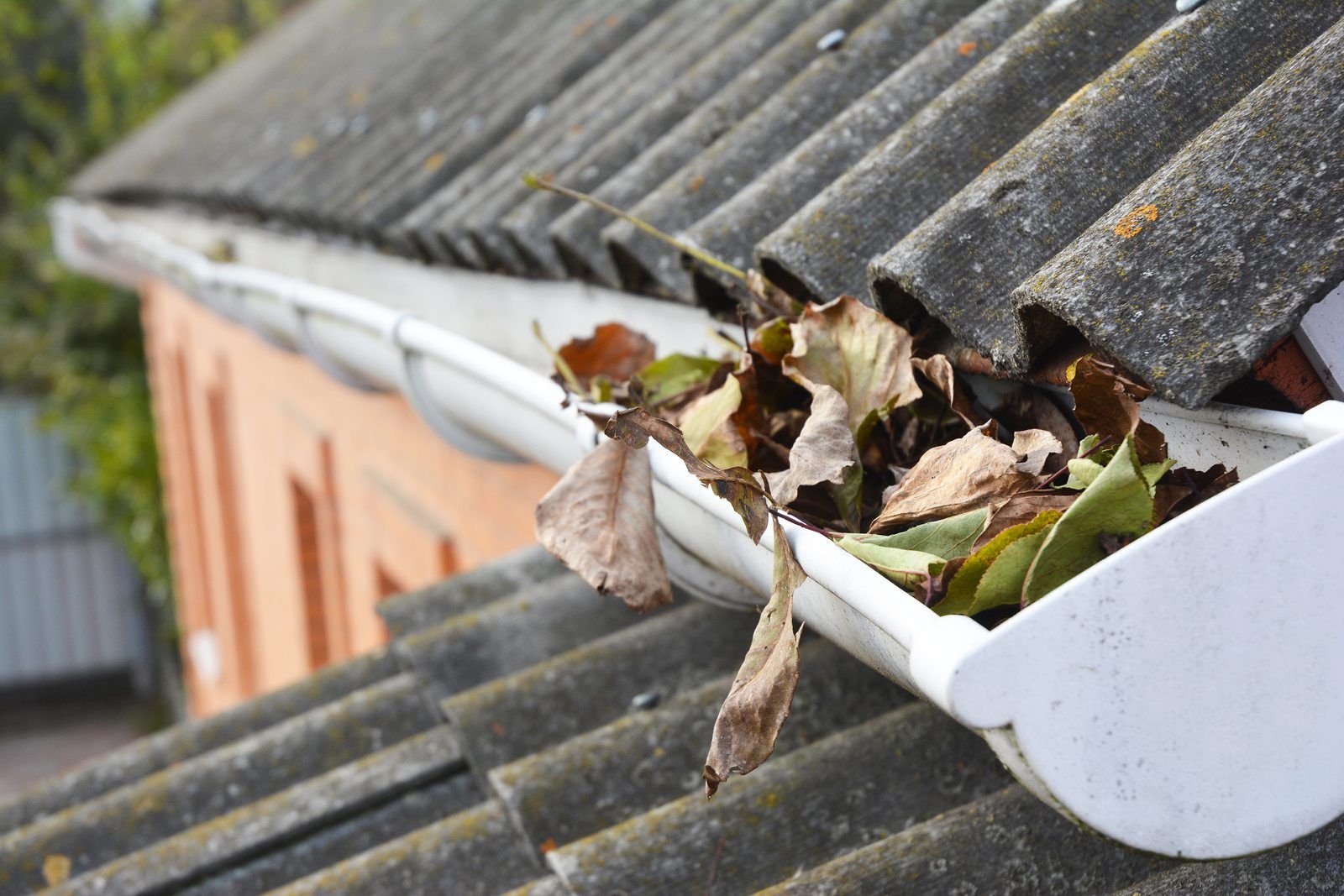 Gutter Cleaning in Armadale