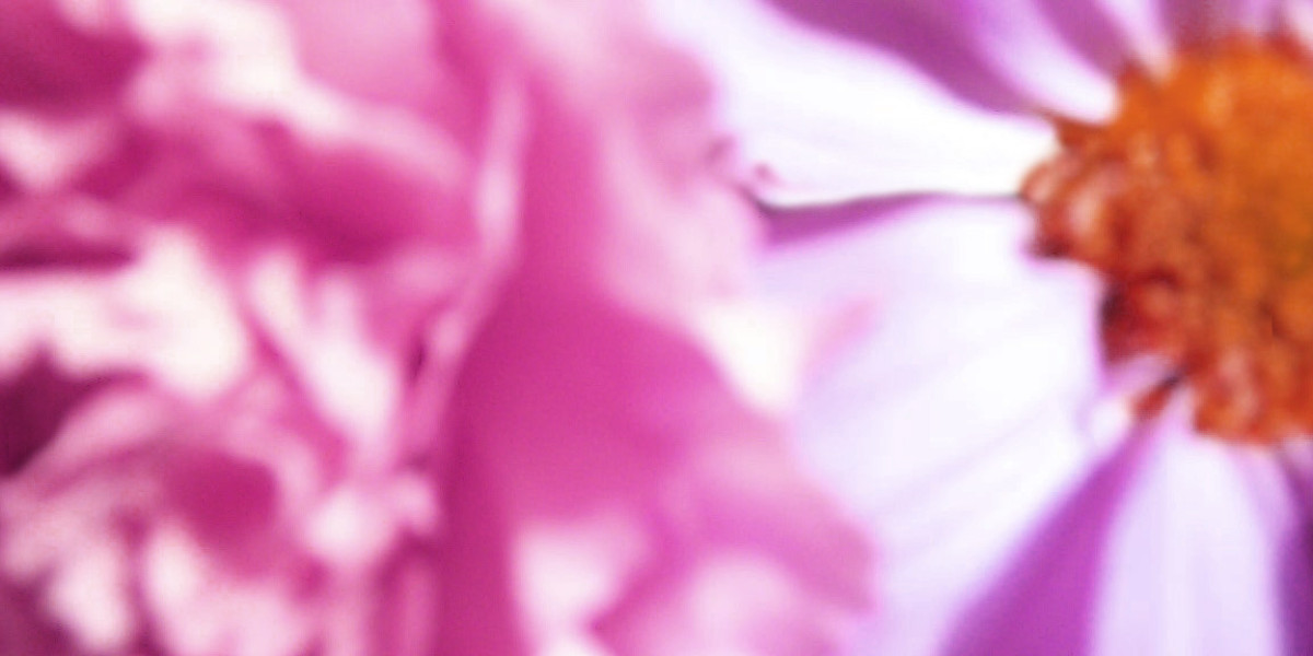 Engage in Thrilling Gameplay at RocketPlay Casino Australia Live Games, Slots, Sports Betting & More