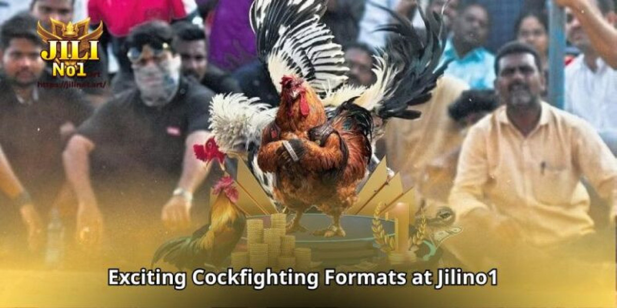 Top Cockfighting Platform in Asia – Jilino1 Official Website