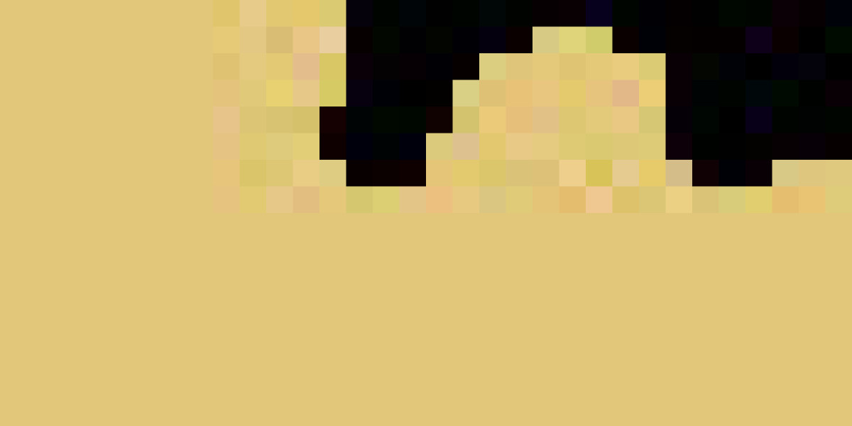 Sweats Collective | Sweat Collective Clothing Au | Shop Now