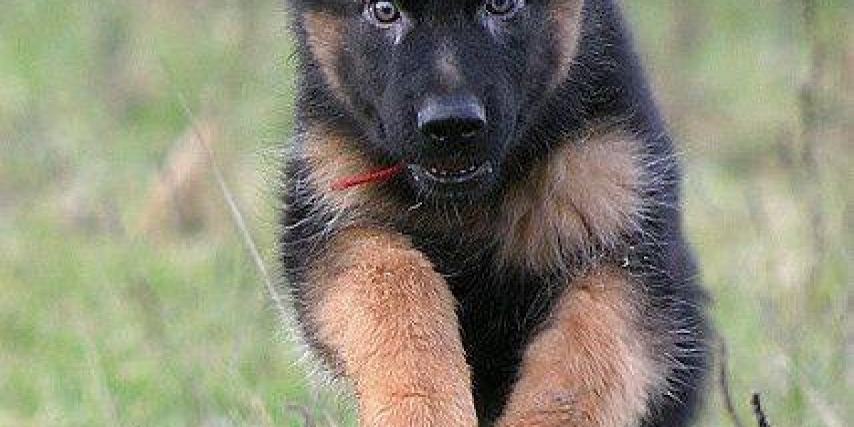 Wednesday Bantering: Exchange Deadline Head