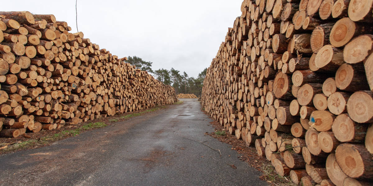 Unlock Premium Timber Solutions with Top Wood Distributors at LuliMall