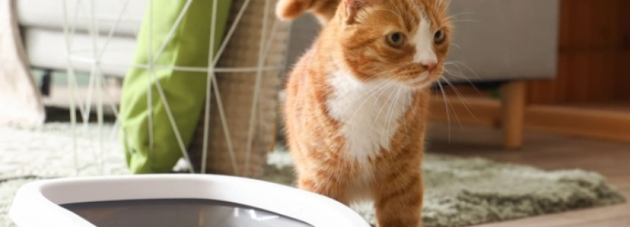 Litter Busters Cover Image