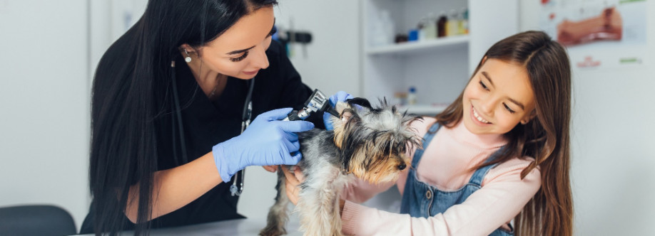 thegroomer Cover Image