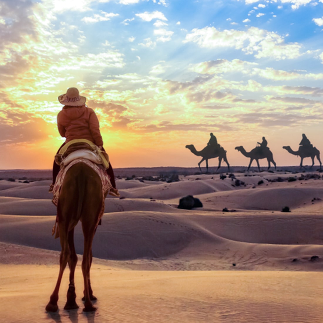 Morning Desert Safari Dubai - Adventure Awaits | Venus Destination