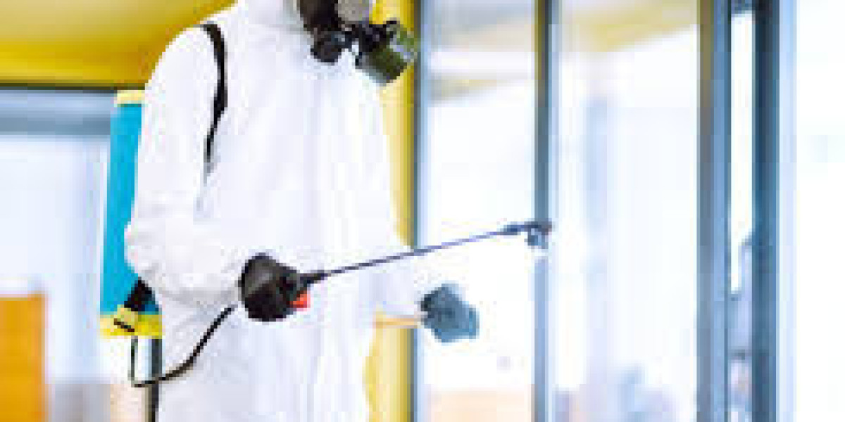 Complete Property Protection Guide for Long Term Termite Safety in Lahore