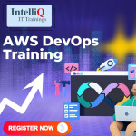 rohini Profile Picture