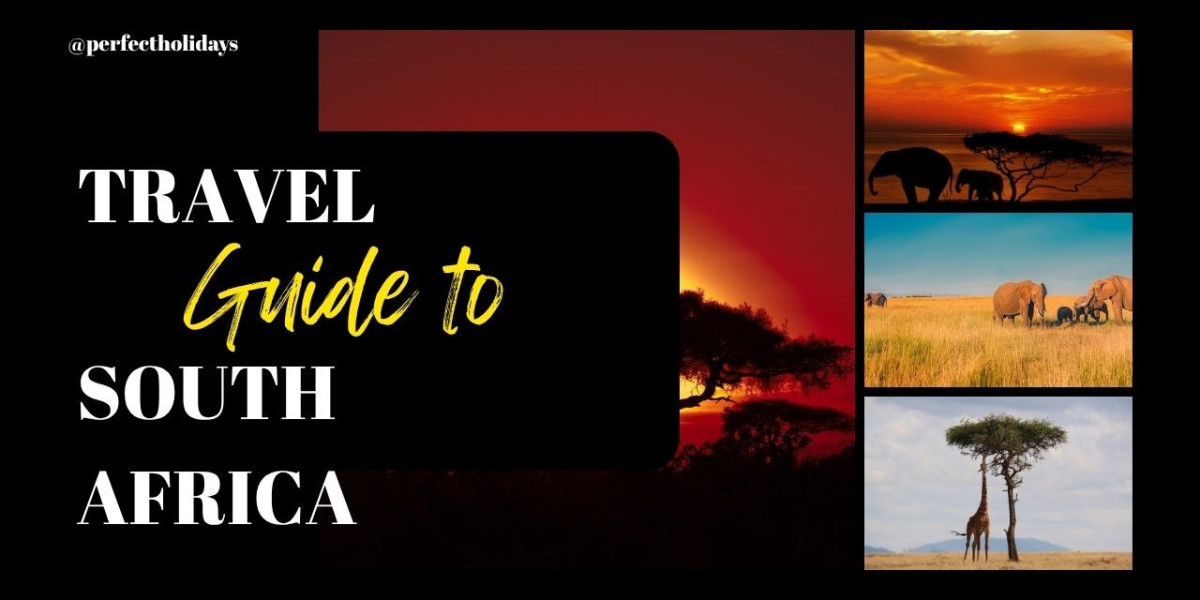 Travel Guide to South Africa in 2026/2027