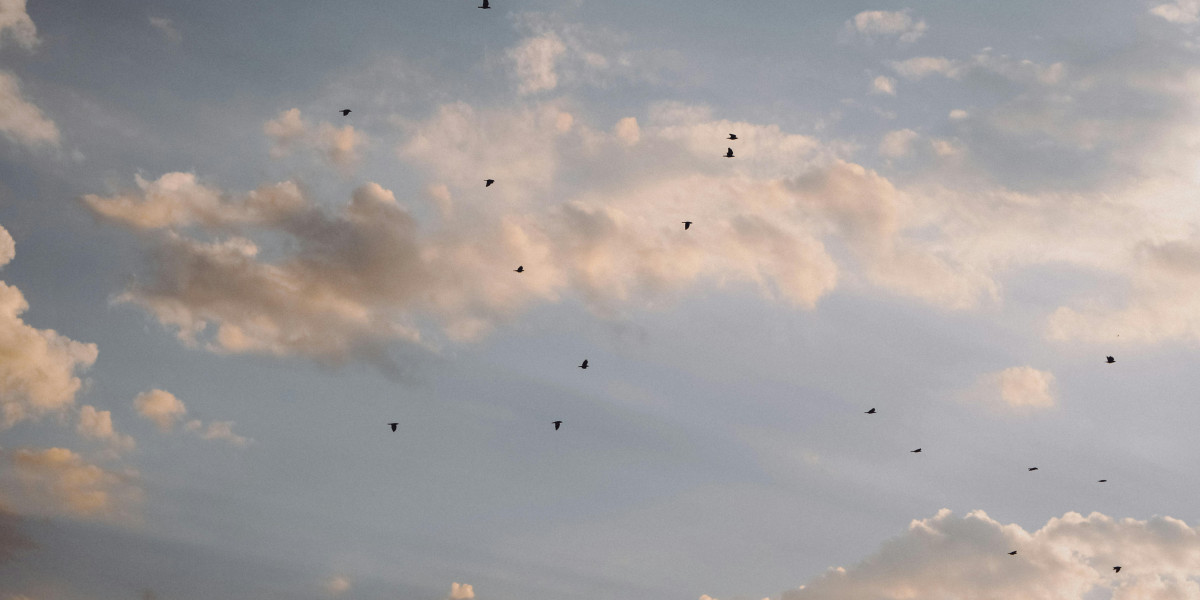 How to Get Rare Pokémon TCG Pocket Items Fast | eznpc