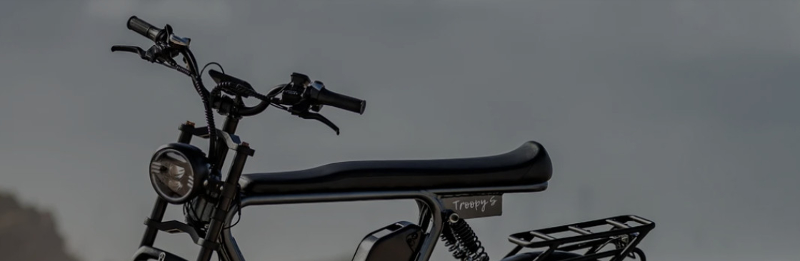 sunchaser ebikes Cover Image