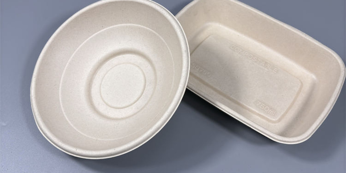 Rotary Thermoforming Pulp Molding Machine: The Future of High-Efficiency Sustainable Packaging