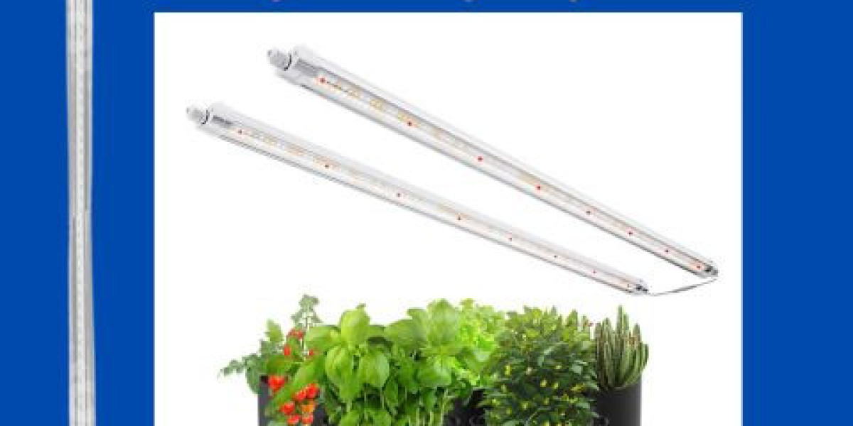 Maximize Plant Growth with High-Performance LED Grow Light Plants