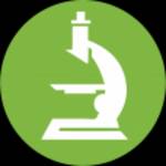 mold career Profile Picture