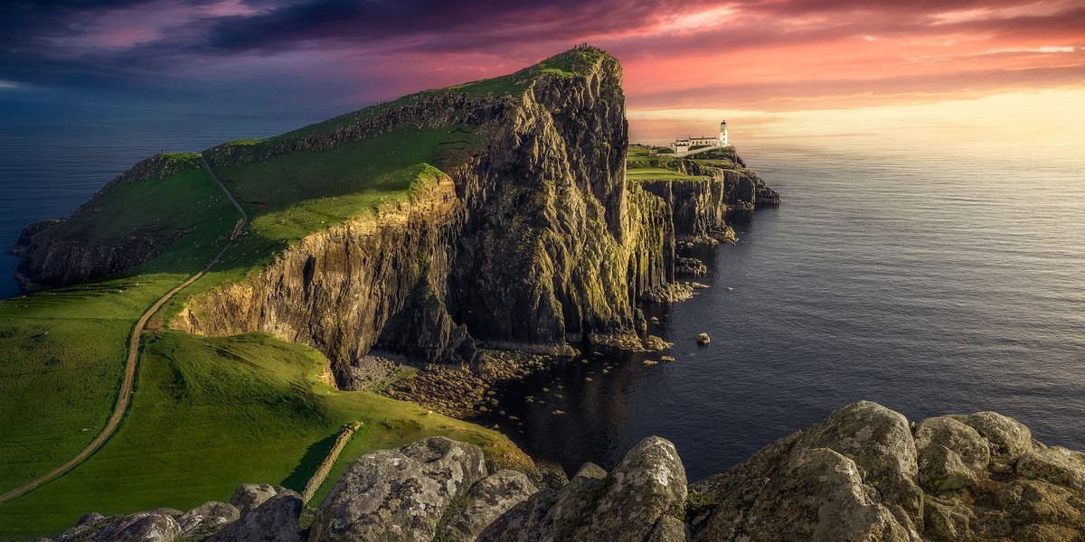 Bape Shoes The Iconic Fusion of Streetwear