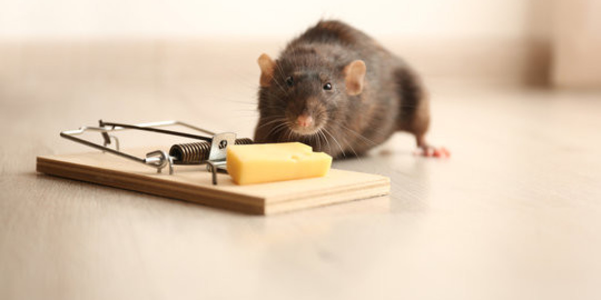 Rodent Control Service That Prevents Costly Damage