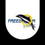Freedom Holidays Profile Picture
