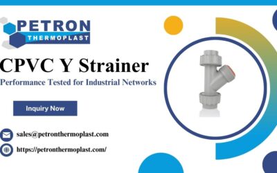 Welche Dienstleistungen bieten Escort-Agenturen in Düsseldorf an? – View Pen