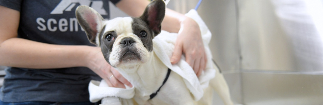 Scent Hound Apex Cover Image