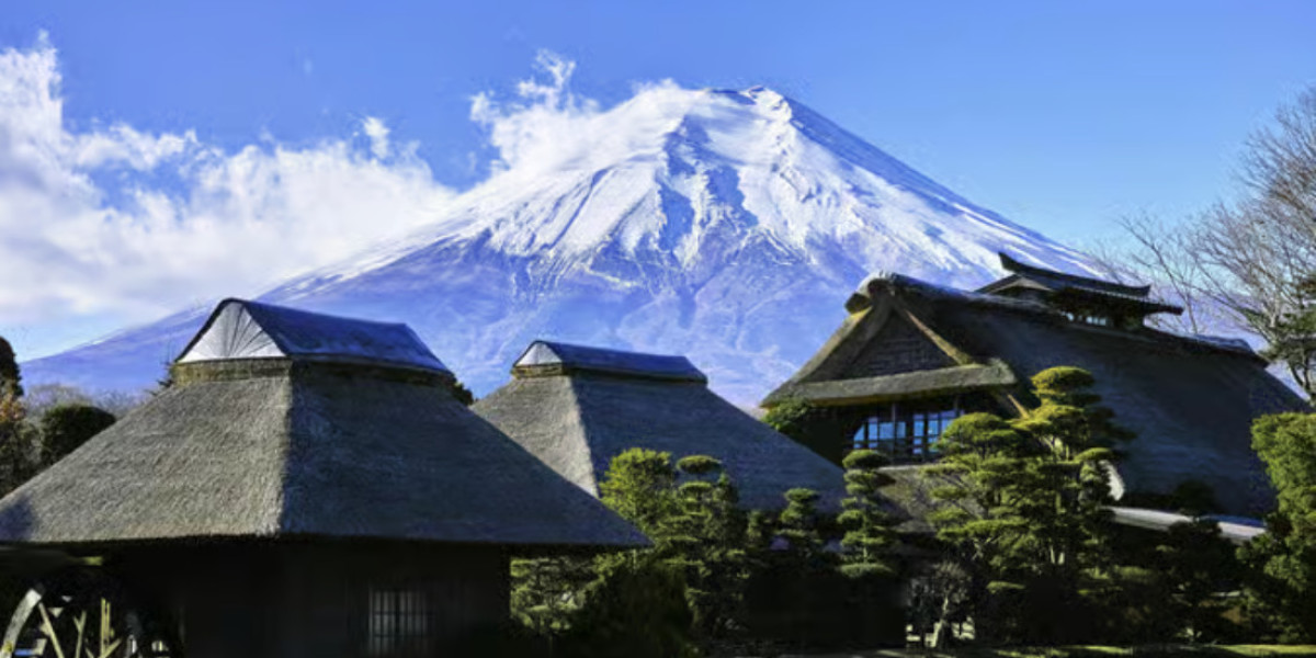 Fuji Five Lakes Tour from Tokyo: Scenic Full-Day Adventure