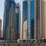 SEO UMAR Profile Picture