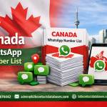 borsha suttadhar Profile Picture