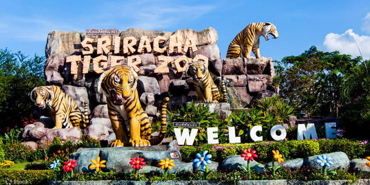 Tiger Topia Sriracha Zoo,