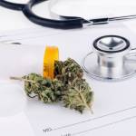 green healthorg Profile Picture