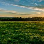 mozam55 931 Profile Picture