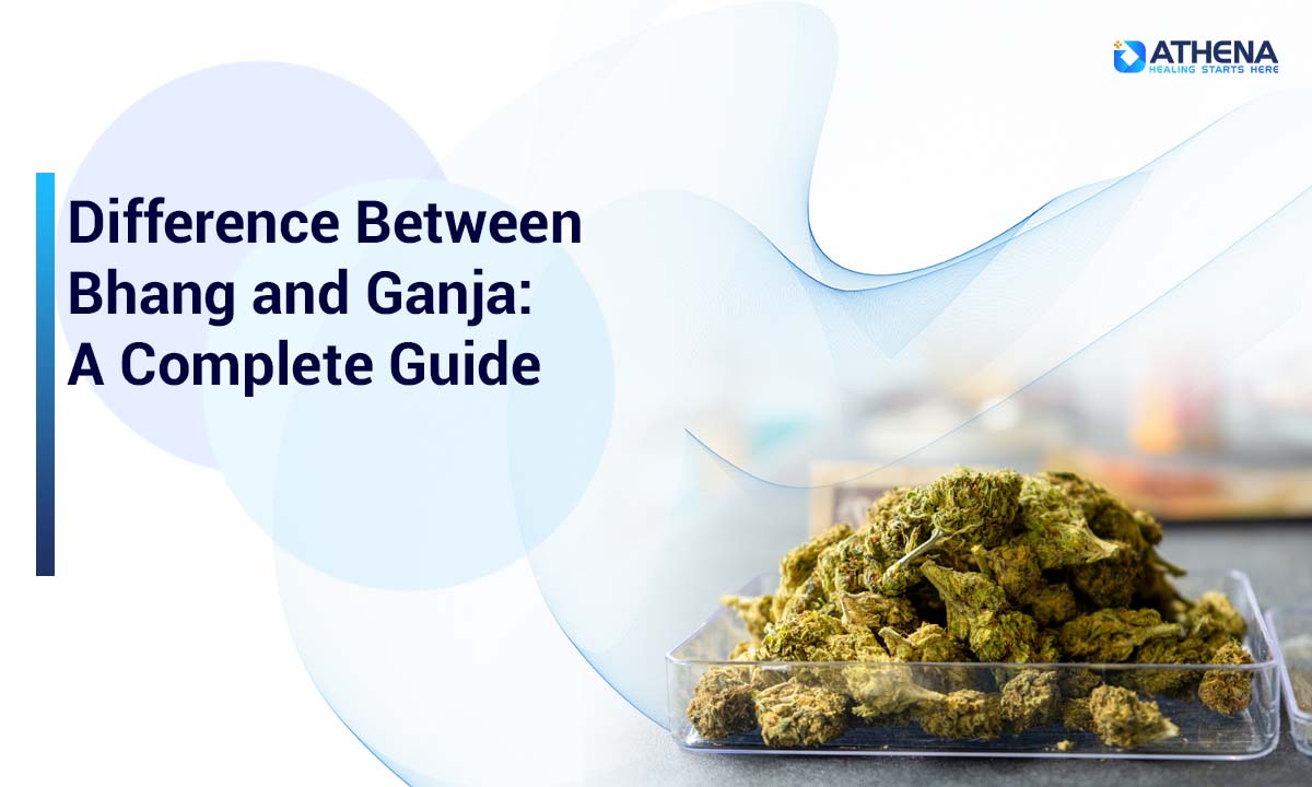 Bhang vs Ganja Difference: Complete Guide + Side Effects