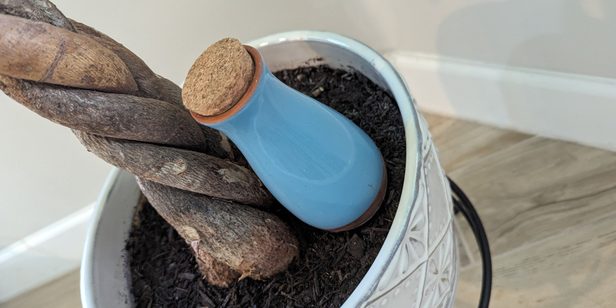 What Is the Difference Between Watering Spikes and Globes? A Complete Comparison