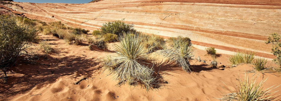 North Ranch RV Park Cover Image