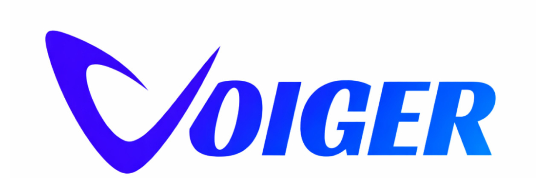 Voiger voiger Cover Image