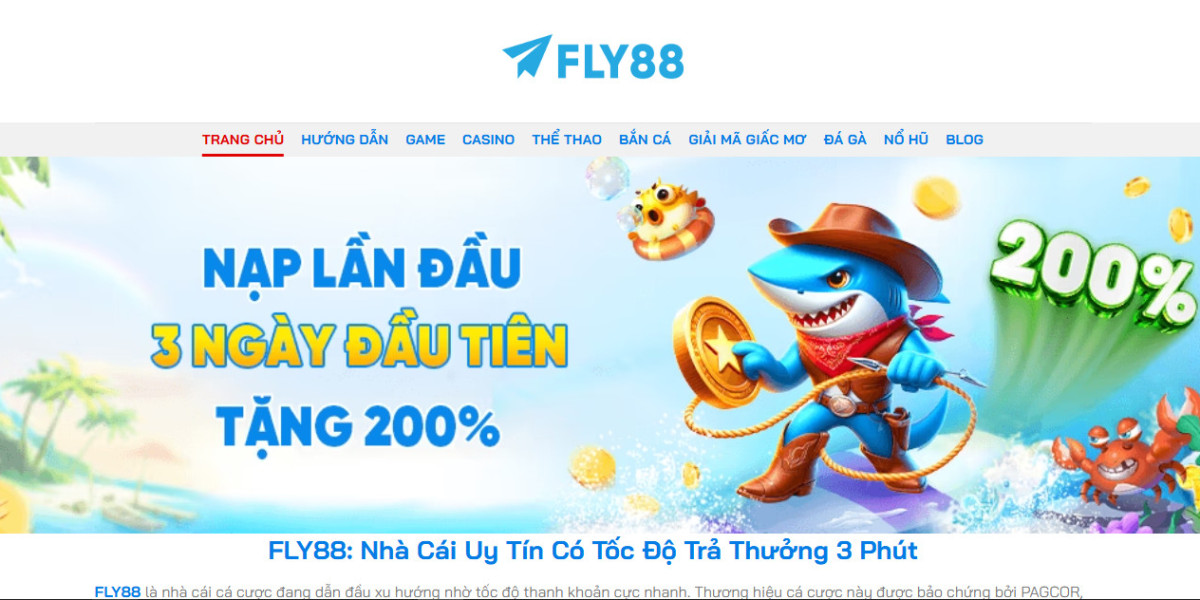 Fly88 – Complete Guide